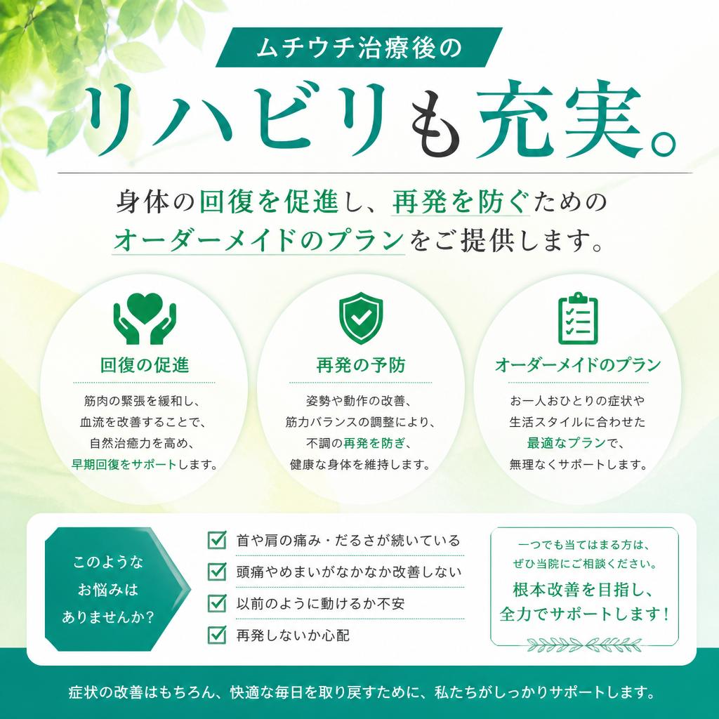 リハビリプランで安心